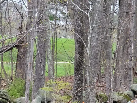 29 Old Manchester Road Candia NH 03034
