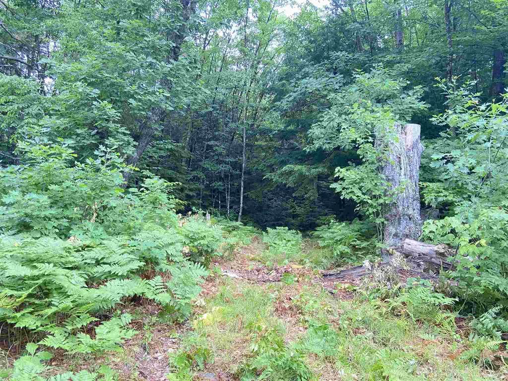 1069 County Road Walpole NH 03608