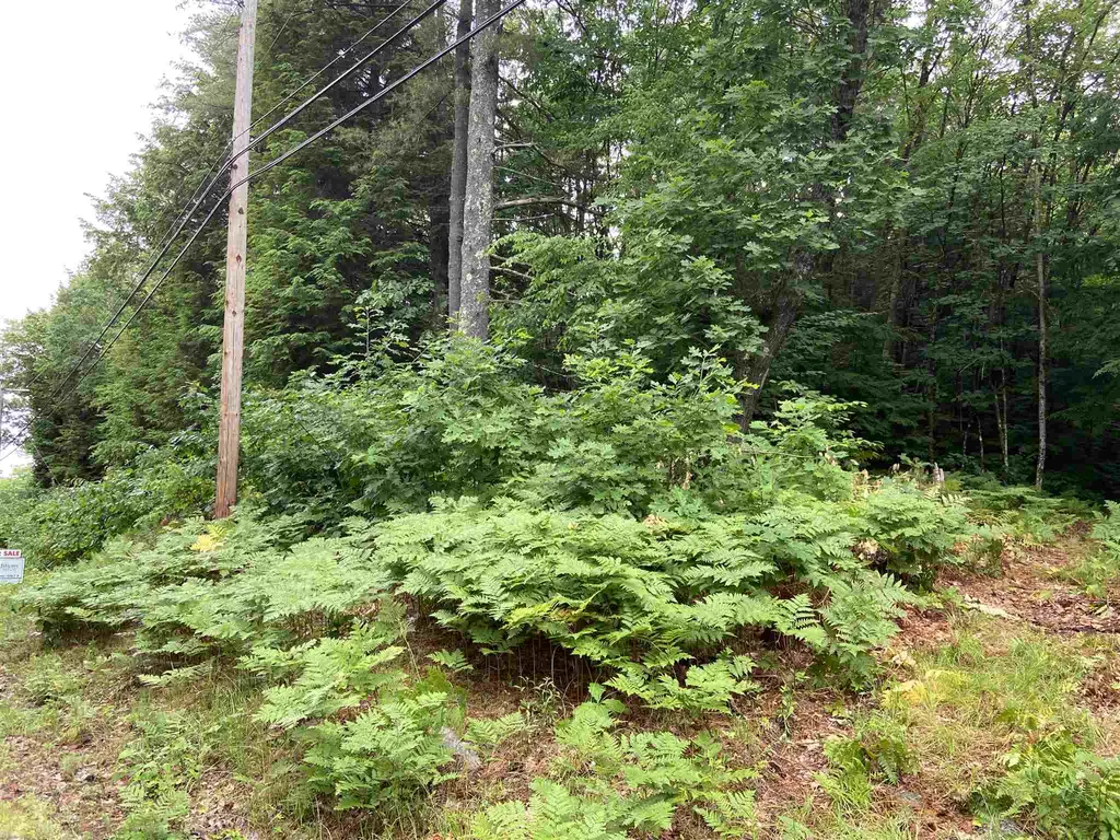 1069 County Road Walpole NH 03608