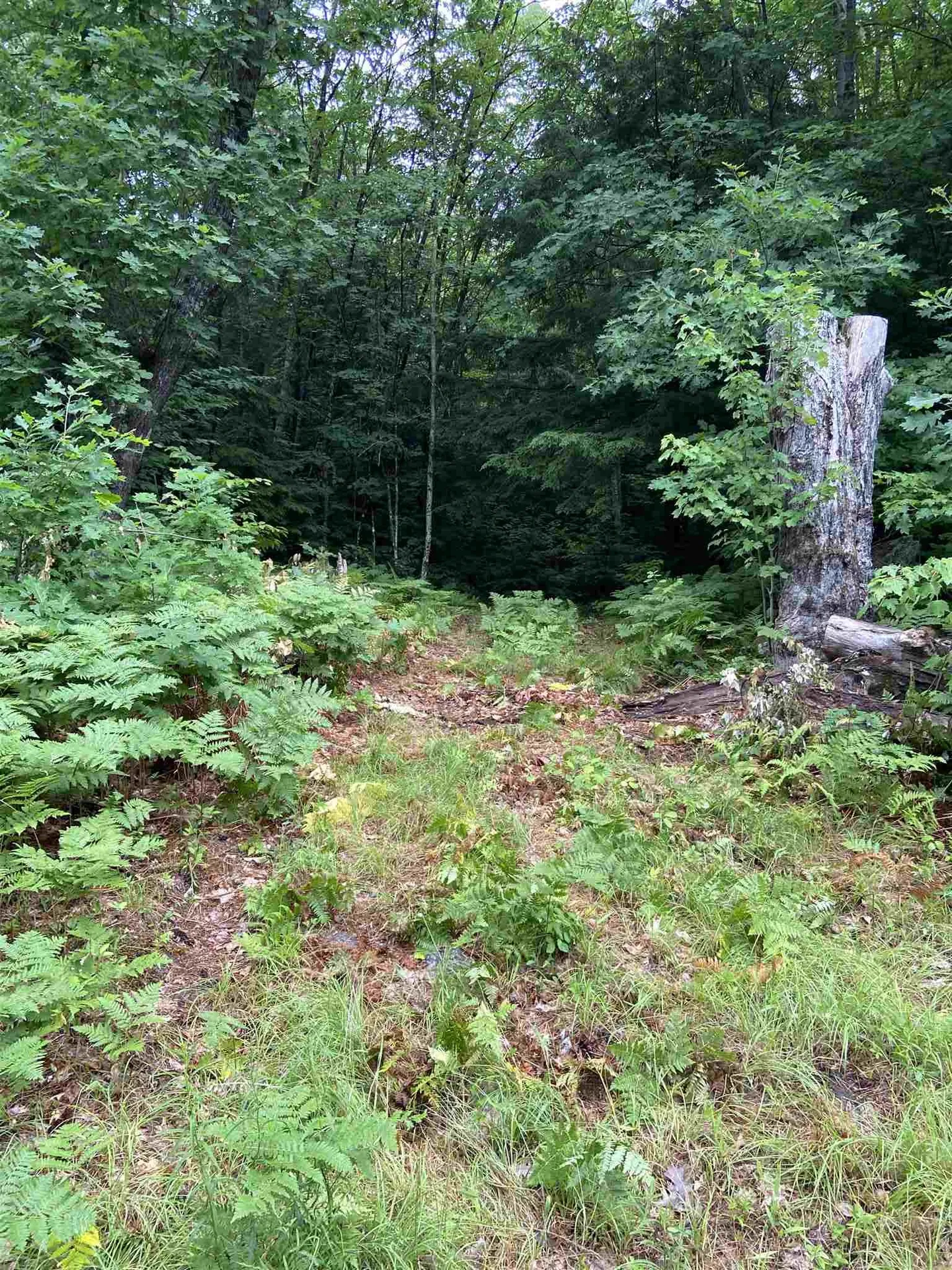 1069 County Road Walpole NH 03608