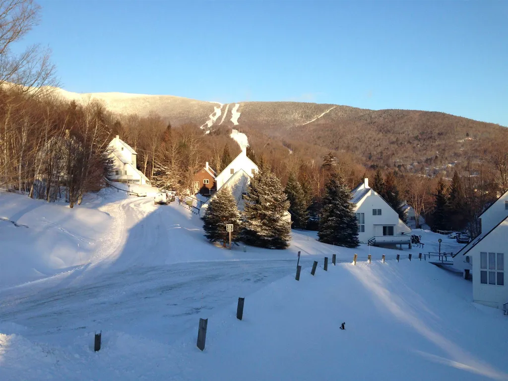 104 Spring Fling Road Warren VT 05674