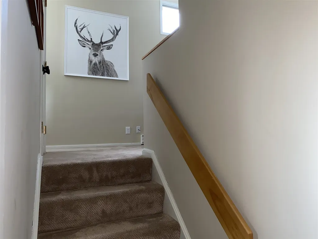 104 Spring Fling Road Warren VT 05674