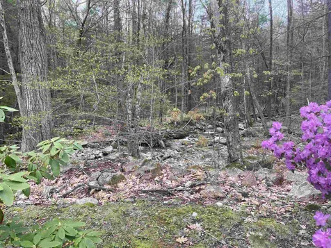 40 Joslin Road Surry NH 03431