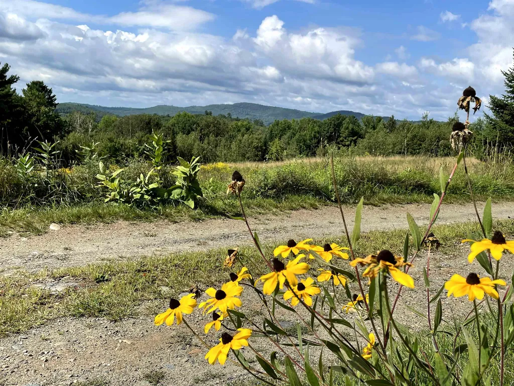 295 Manns Hill Road Littleton NH 03561