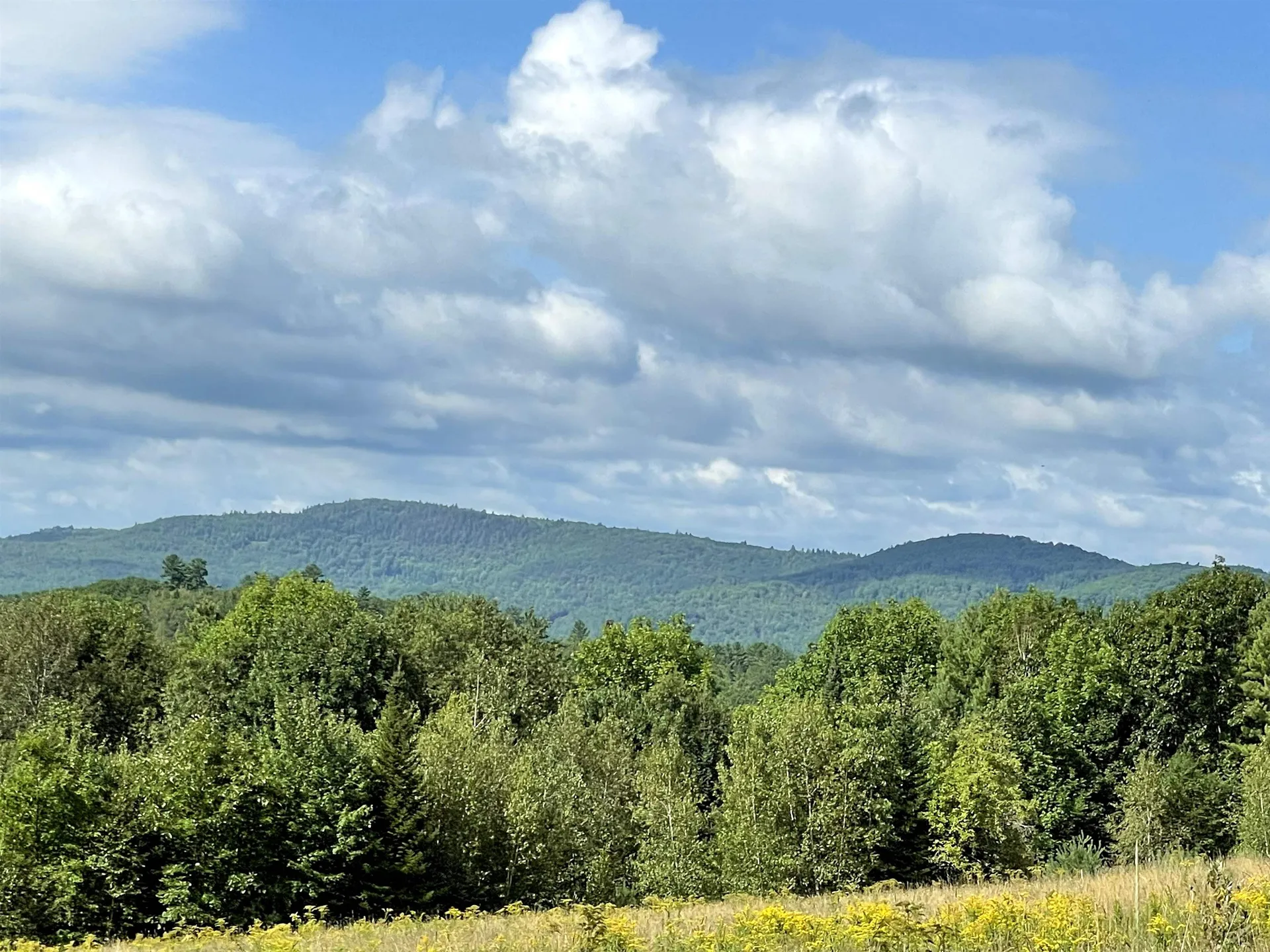 295 Manns Hill Road Littleton NH 03561