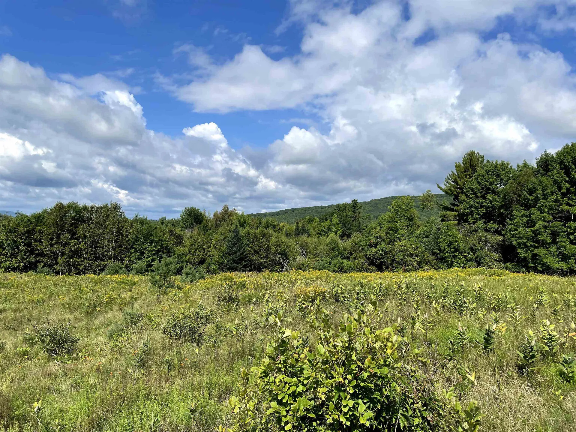 295 Manns Hill Road Littleton NH 03561