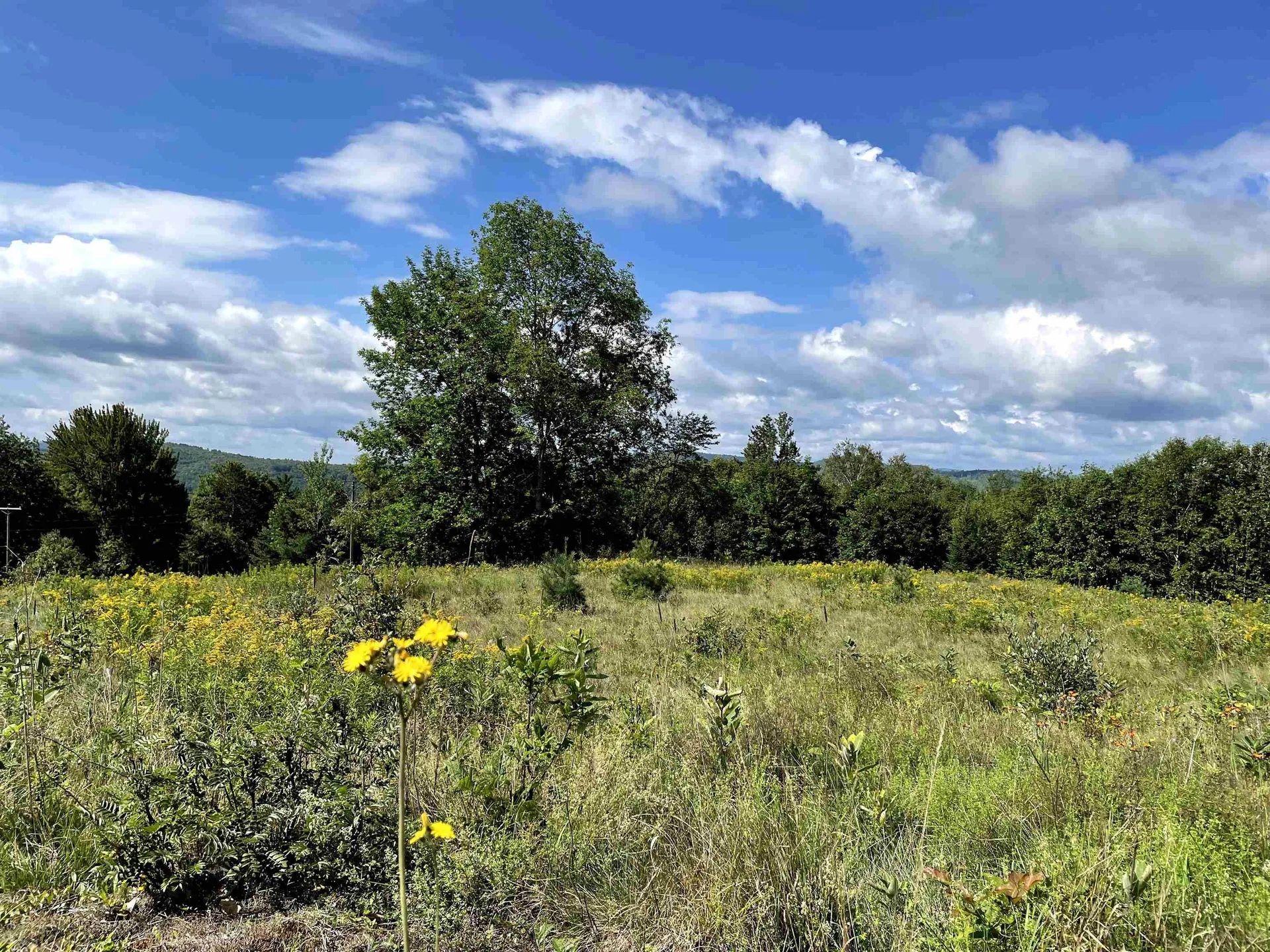 295 Manns Hill Road Littleton NH 03561