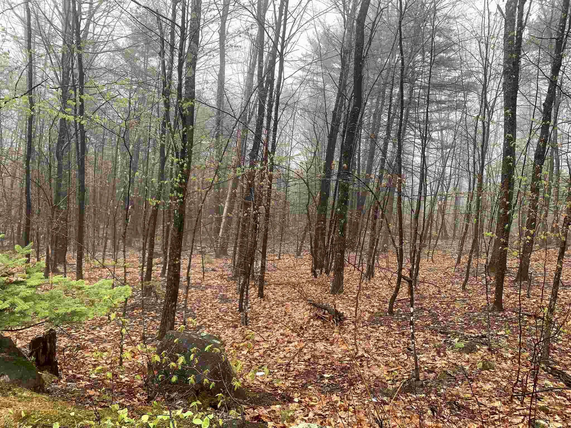 784 Texas Hill Road Plymouth NH 03264