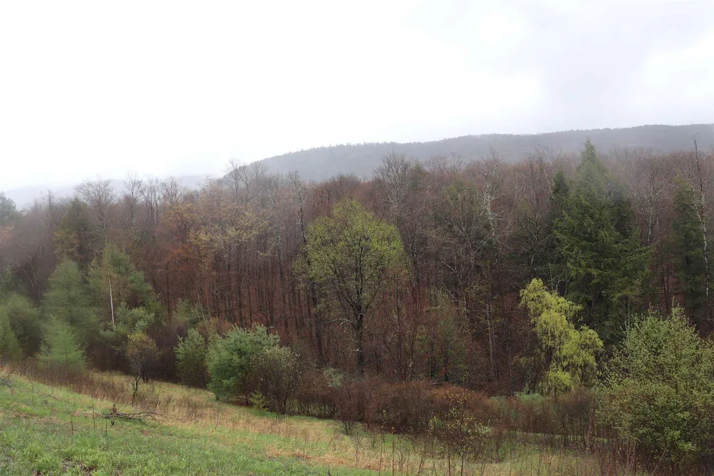 North And Cobbs Road Sunderland VT 05250