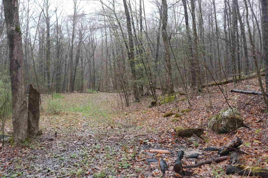 North And Cobbs Road Sunderland VT 05250