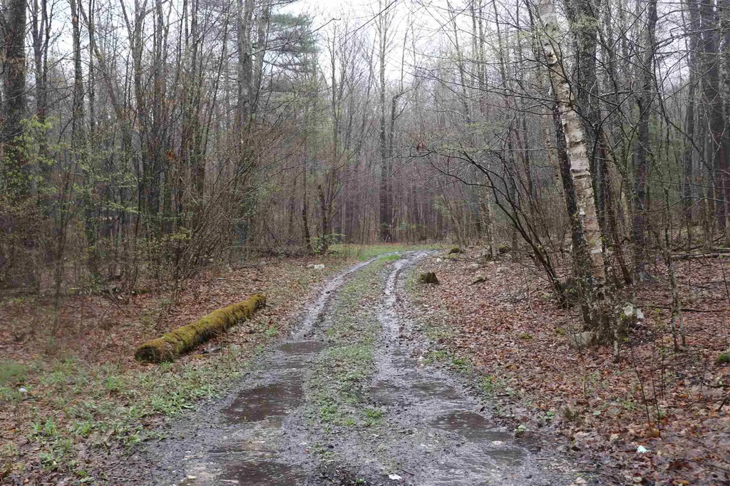 North And Cobbs Road Sunderland VT 05250