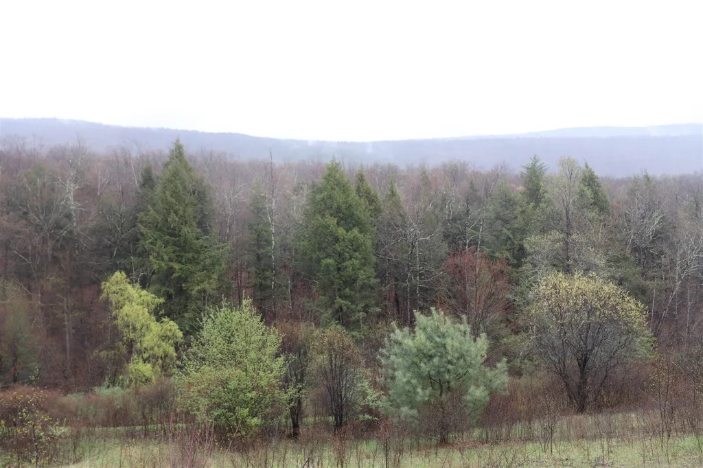 North And Cobbs Road Sunderland VT 05250