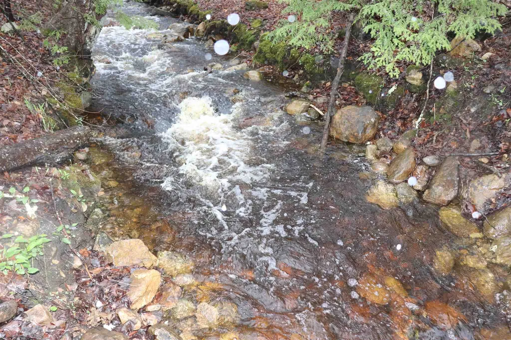 North And Cobbs Road Sunderland VT 05250