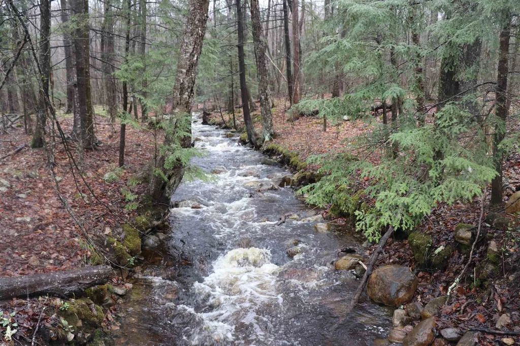 North And Cobbs Road Sunderland VT 05250