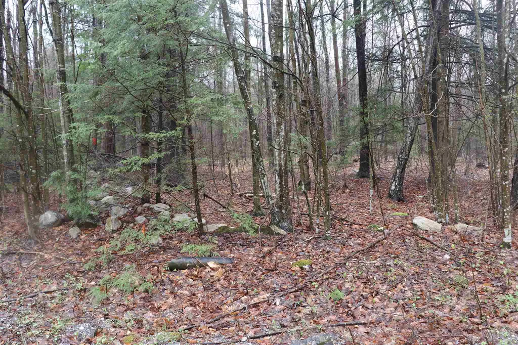 North And Cobbs Road Sunderland VT 05250