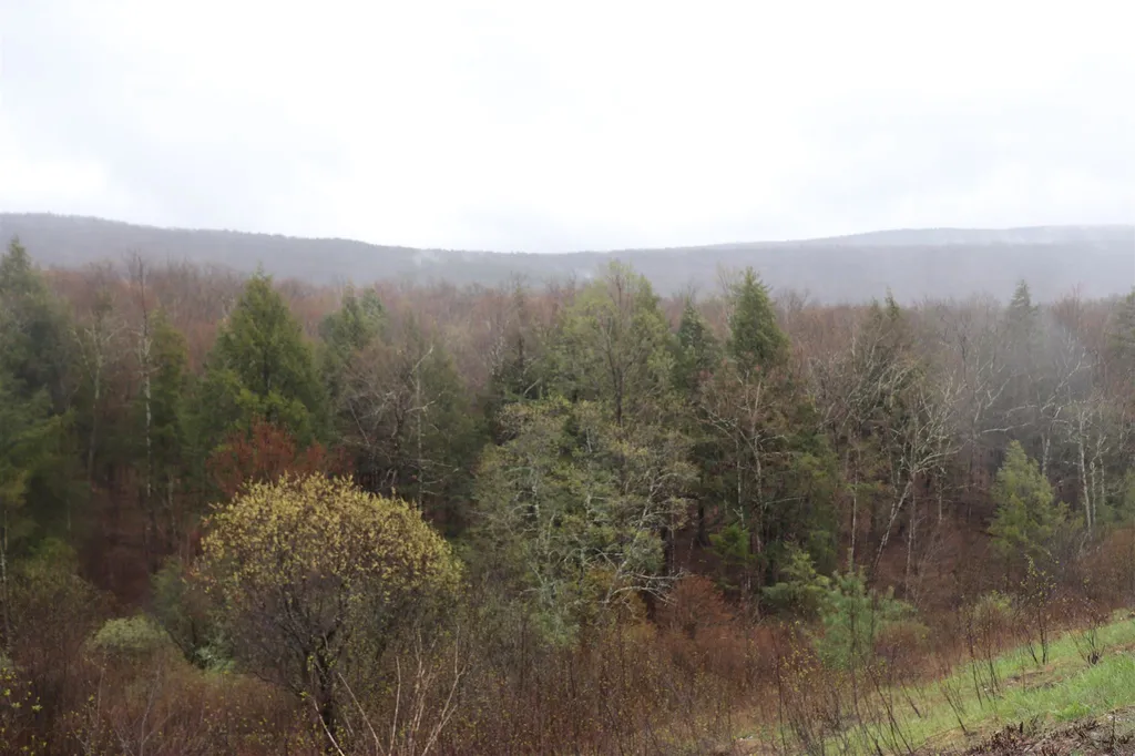 North And Cobbs Road Sunderland VT 05250