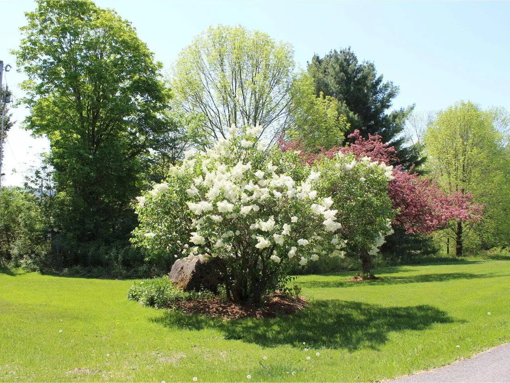 79 Windridge Lane Waterbury VT 05676