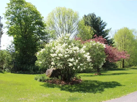 79 Windridge Lane Waterbury VT 05676