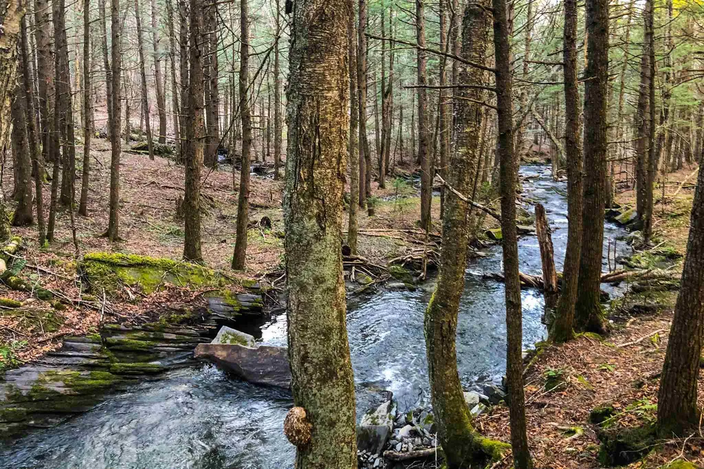 424 Johnson Hill Road Royalton VT 05068
