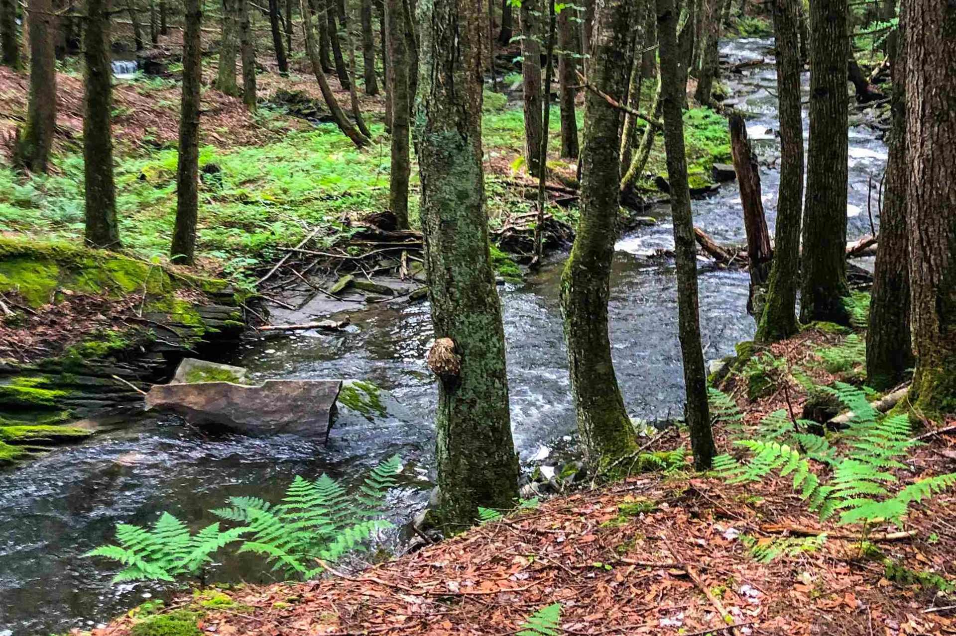 424 Johnson Hill Road Royalton VT 05068