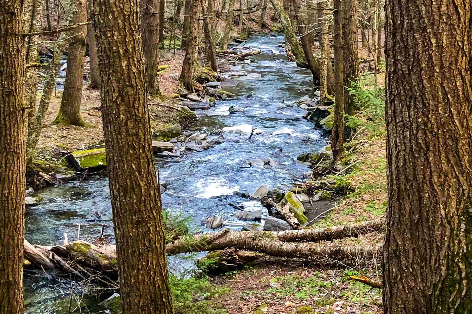 424 Johnson Hill Road Royalton VT 05068