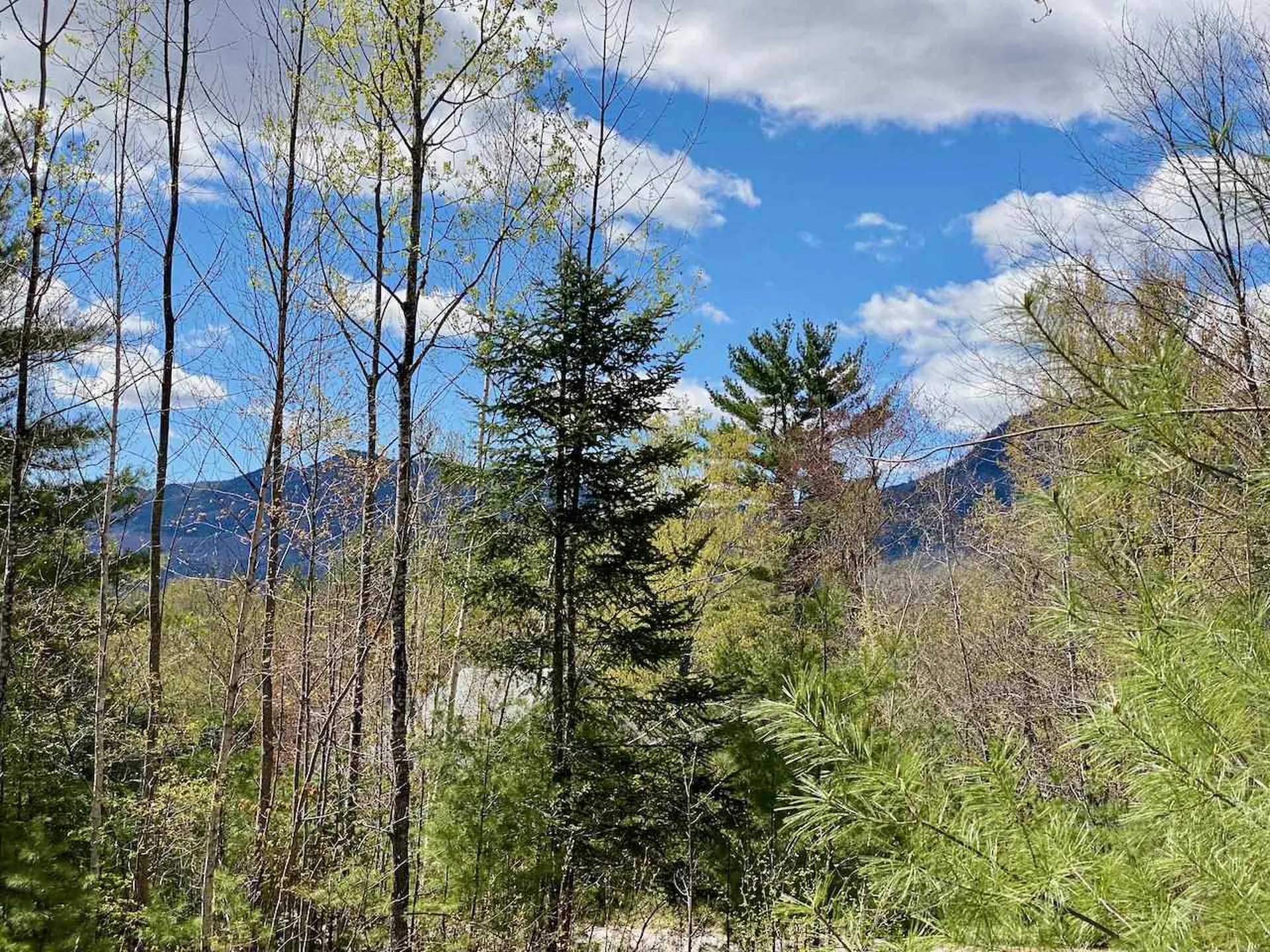 0 Stanton Farm Road Bartlett NH 03812