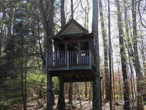 401 Pinnacle Lane Dorset VT 05251