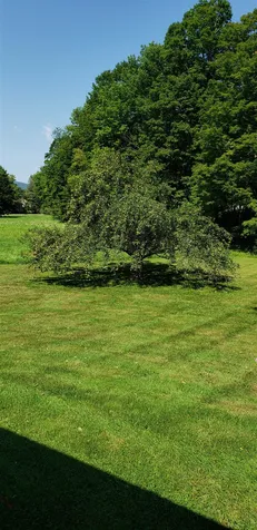 842 Lower Hollow Road Dorset VT 05251