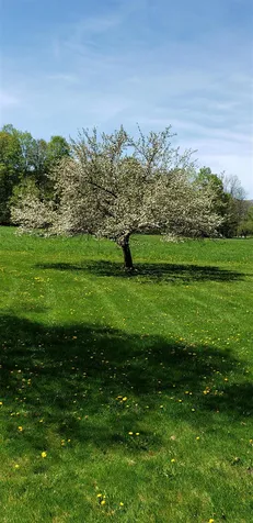 842 Lower Hollow Road Dorset VT 05251