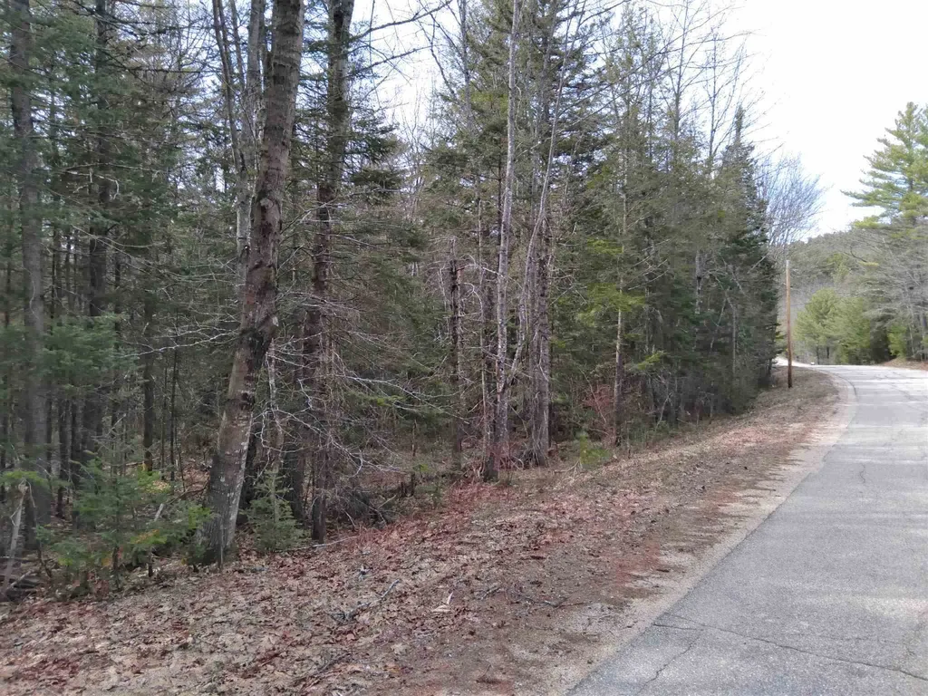 Canaan Valley Road Tuftonboro NH 03850