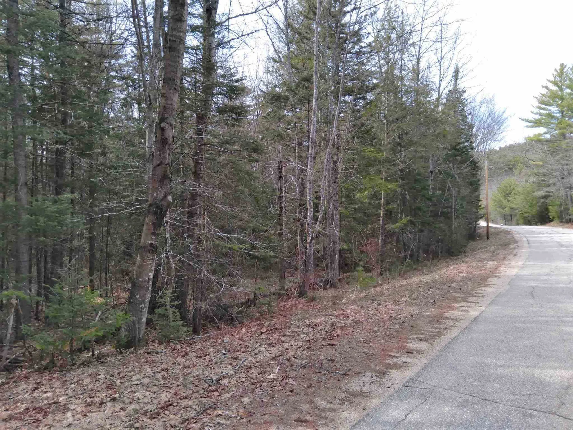 Canaan Valley Road Tuftonboro NH 03850