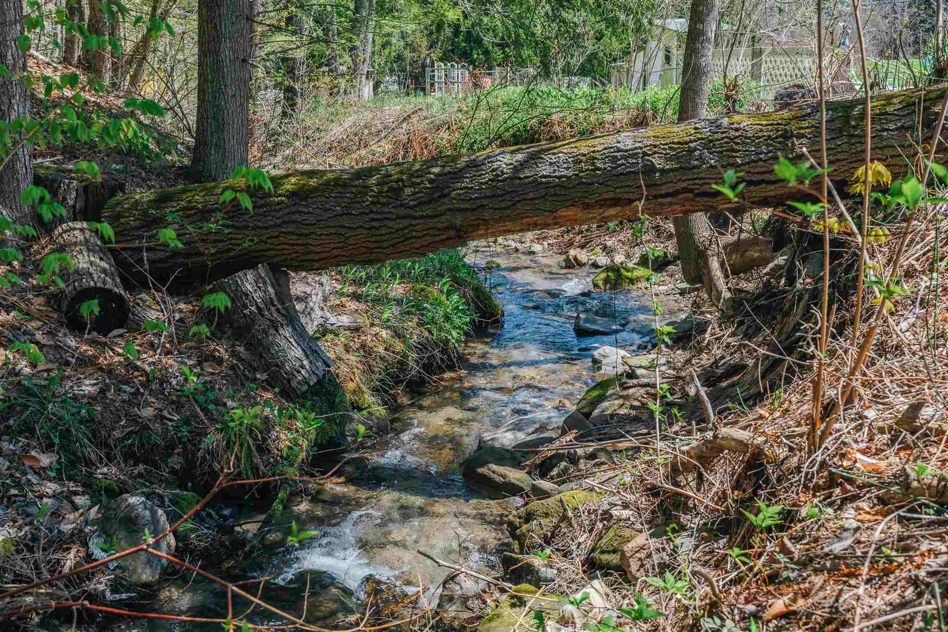 20 Gully Road Woodstock VT 05091