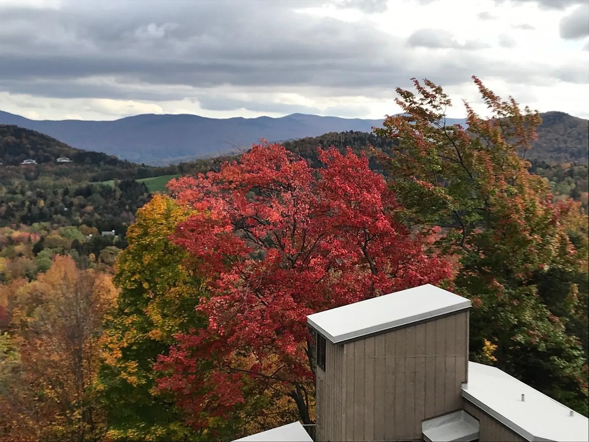 50 Hobbit Hill Road Warren VT 05674