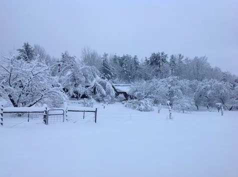 897 Cemetery Street Brookfield VT 05036