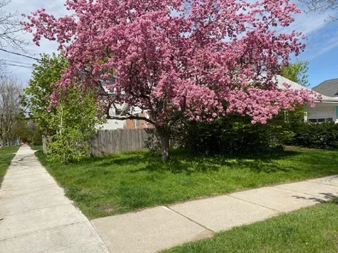 107-109 Mansfield Avenue Burlington VT 05401