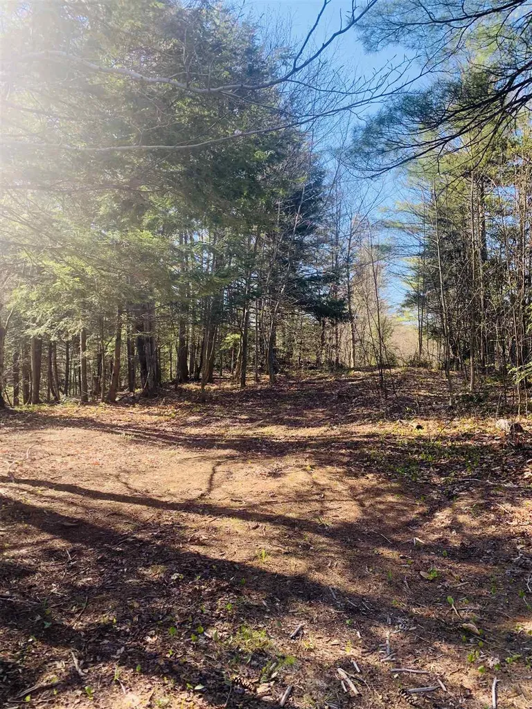 241 Charlestown Road Acworth NH 03601