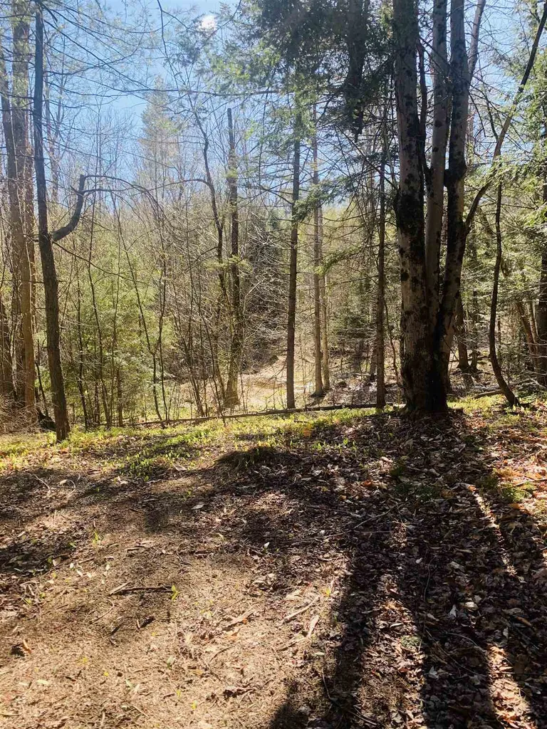 241 Charlestown Road Acworth NH 03601