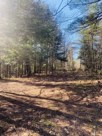 241 Charlestown Road Acworth NH 03601