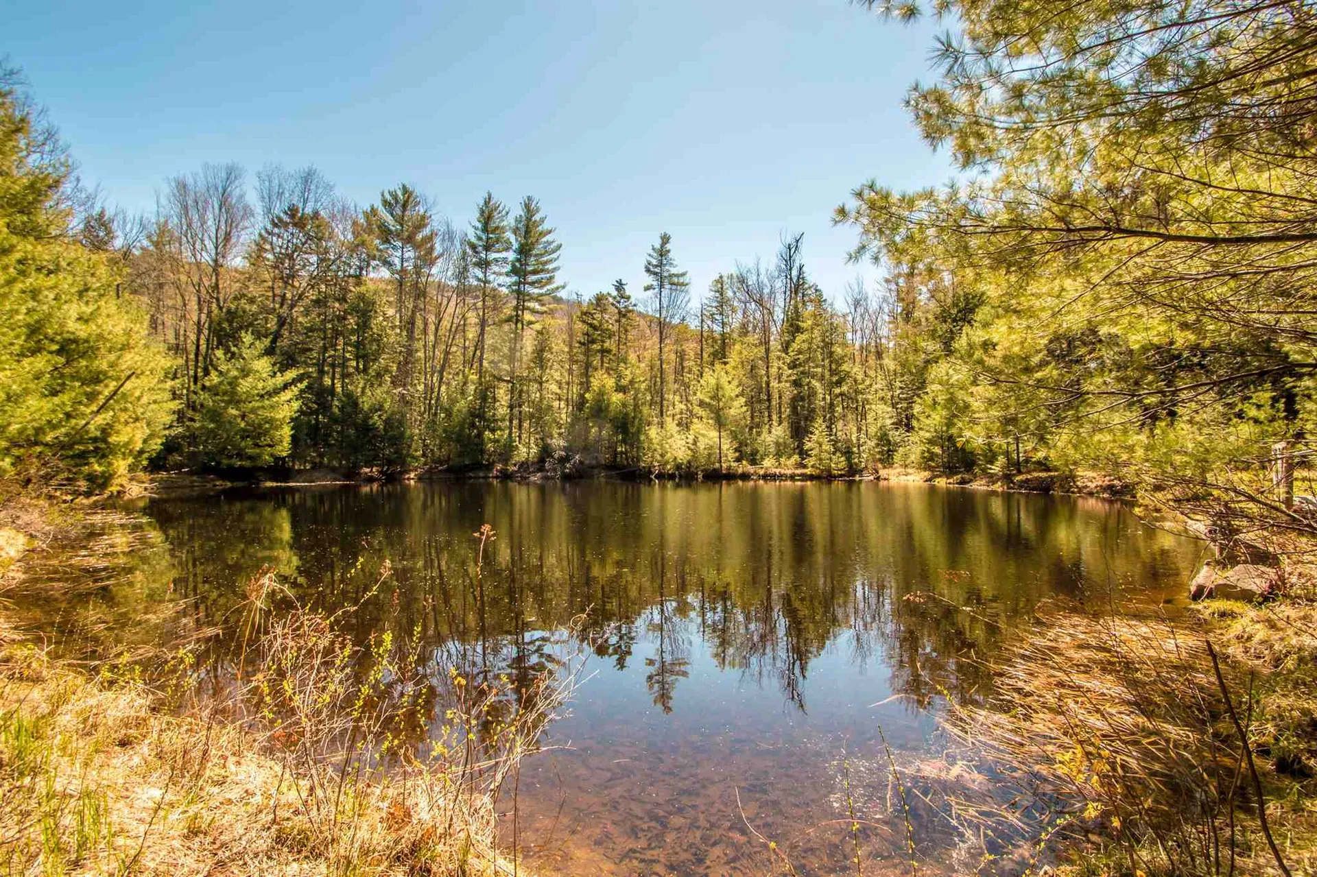 106 Vista View Road Conway NH 03860