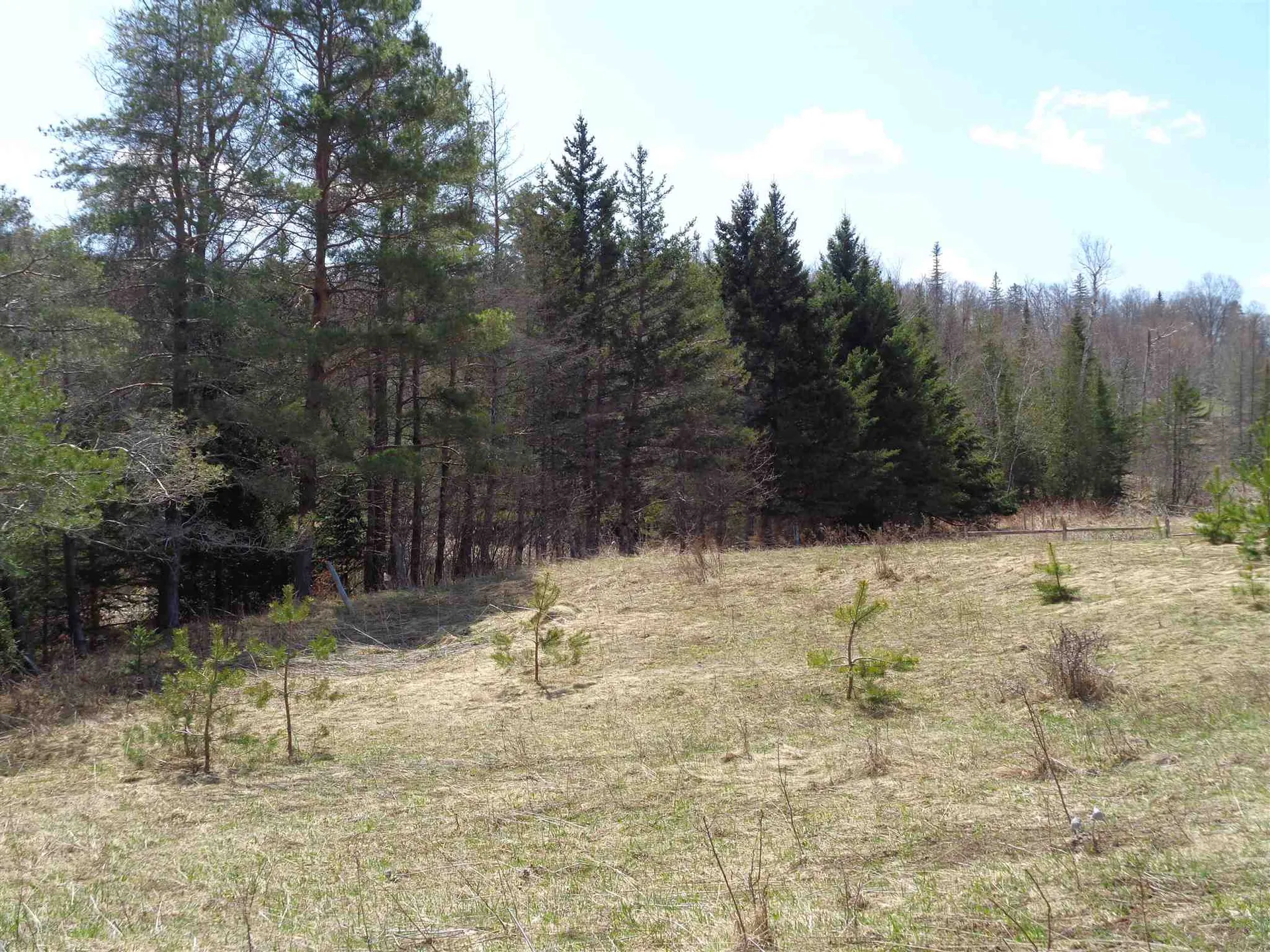 320 Goose Green Road Vershire VT 05079
