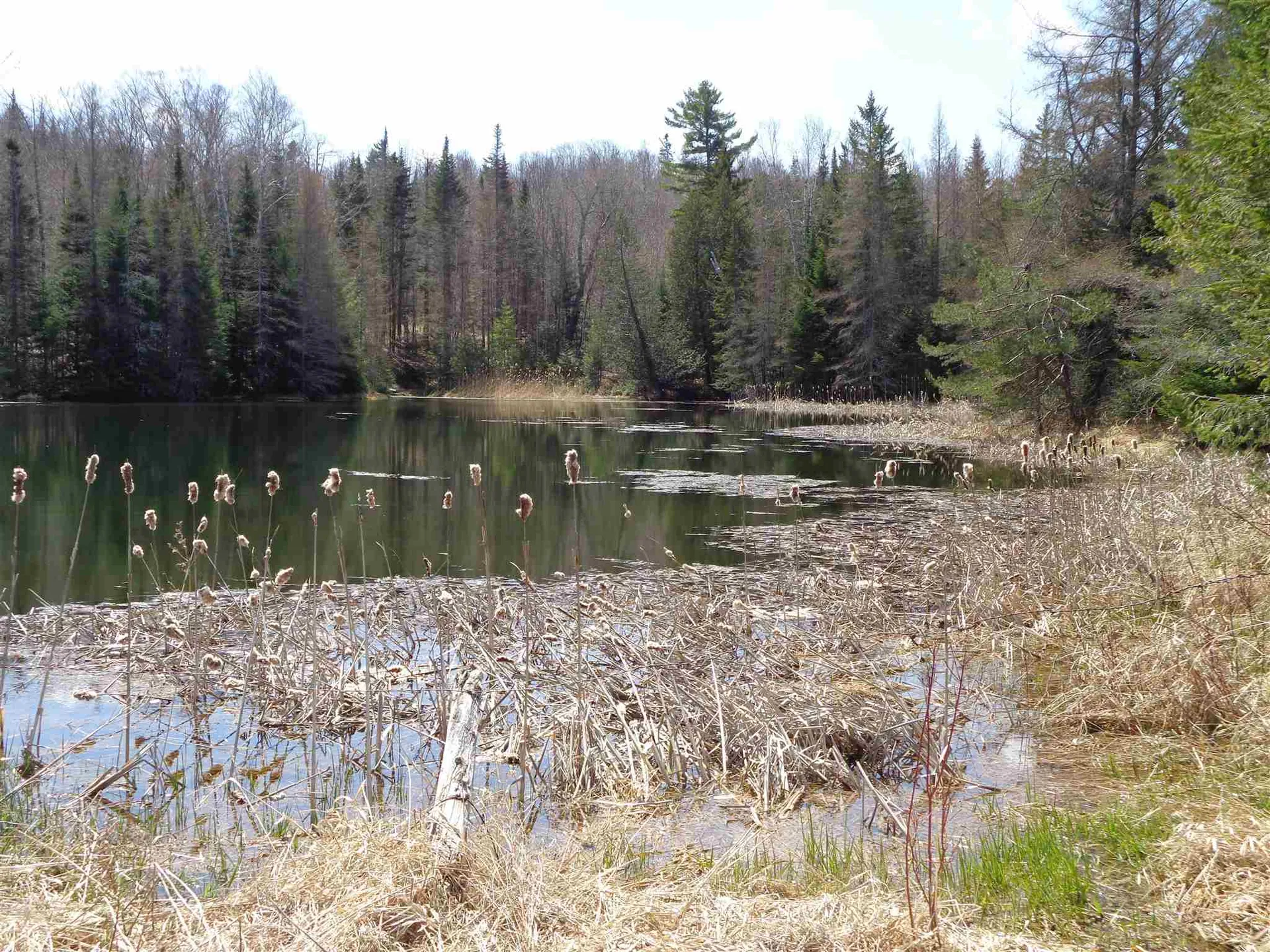 320 Goose Green Road Vershire VT 05079