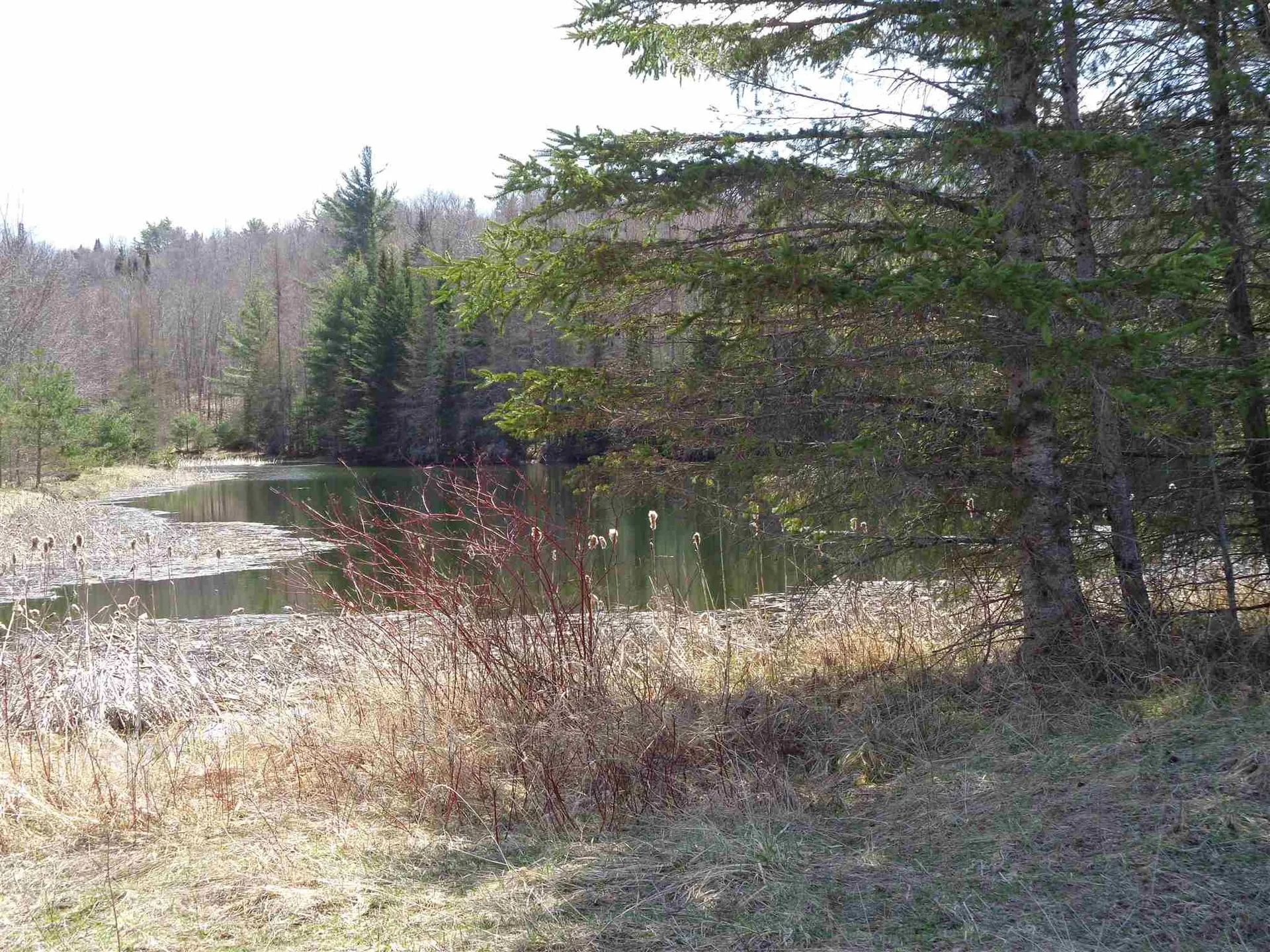 320 Goose Green Road Vershire VT 05079