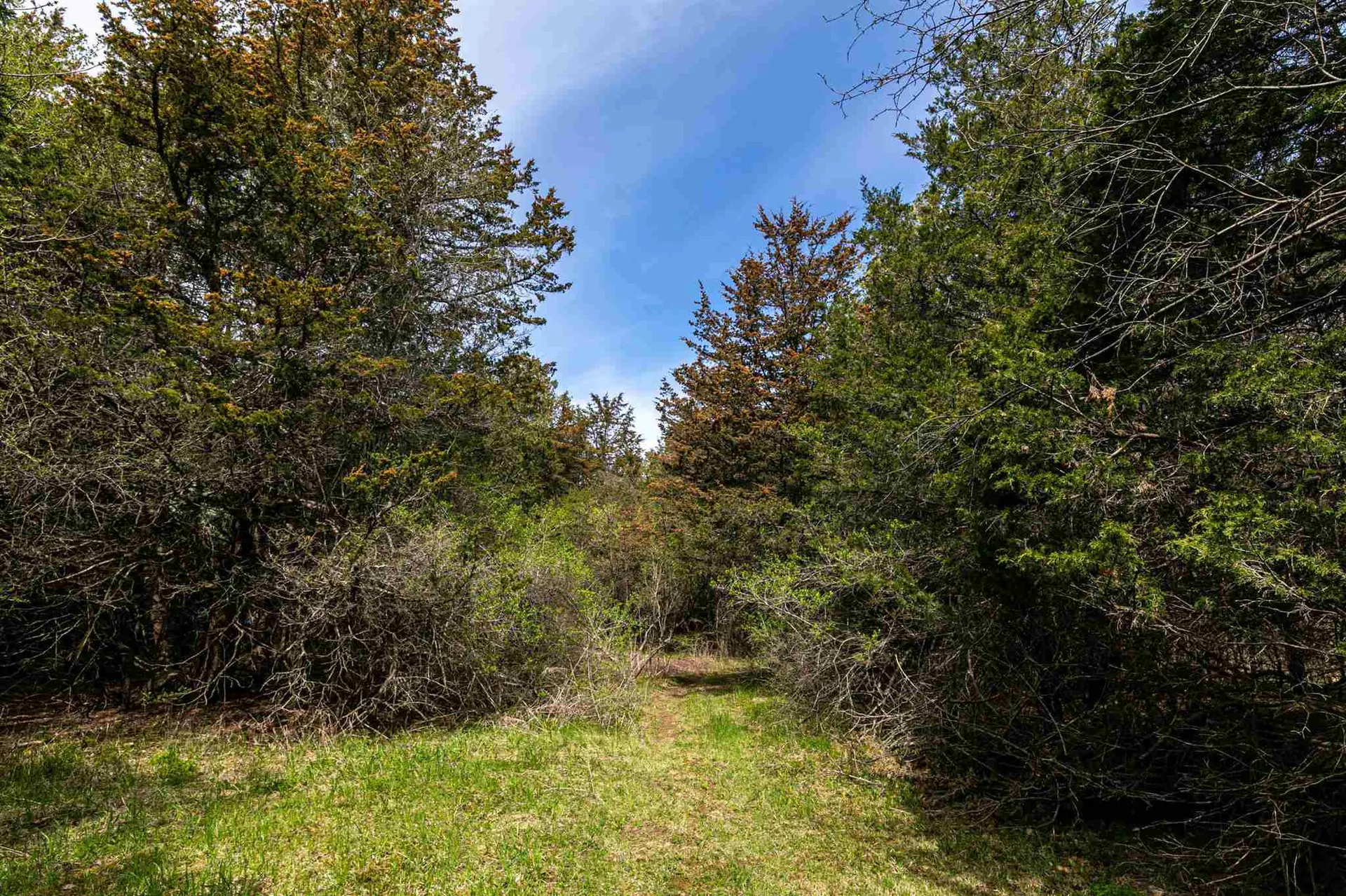 24 Eagle Camp Road South Hero VT 05486-0000