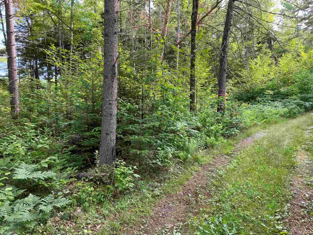 0 Us Route 302 Groton, VT Real Estate MLS 4859574