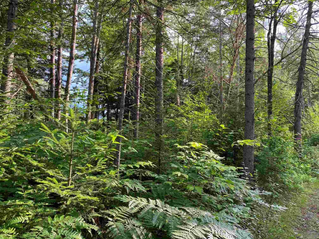 0 Us Route 302 Groton VT 05046