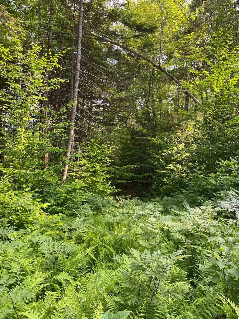 0 Us Route 302 Groton VT 05046