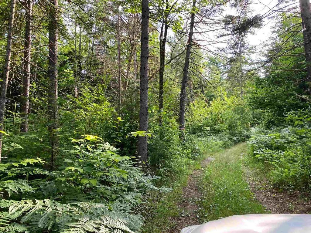 0 Us Route 302 Groton VT 05046