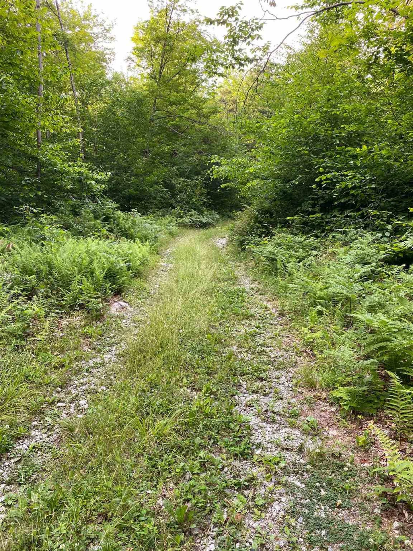 0 Us Route 302 Groton VT 05046