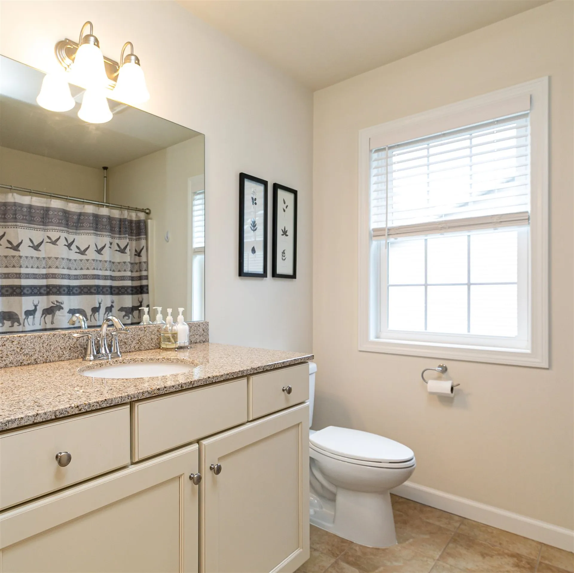 7 Arbor Terrace Essex VT 05452