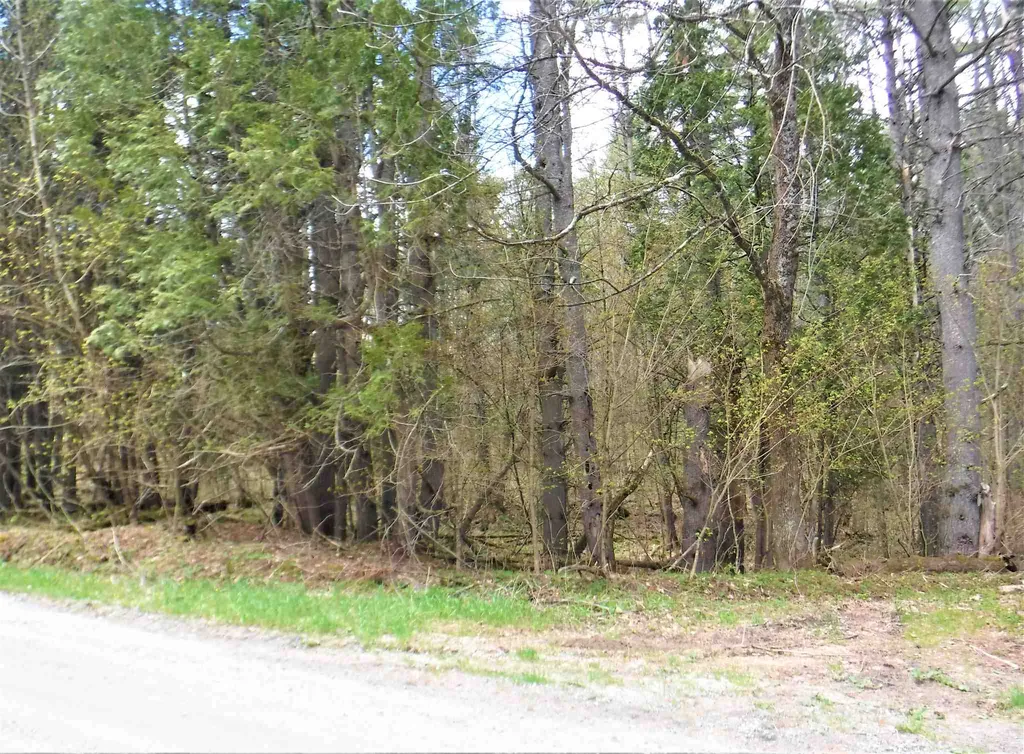 00 Symes Pond Road Ryegate VT 05042